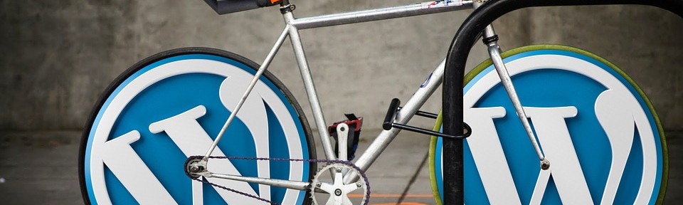 wordpress bicycle